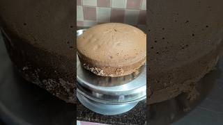 basic chocolate sponge cake recipe [upl. by Keisling241]