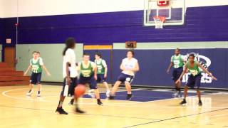 Najee Woods Highschool Basketball Highlights [upl. by Moishe]