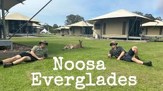 Noosa Everglades Tour [upl. by Anilatac]