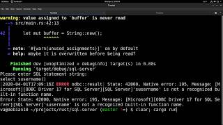 Connecting Rust to Microsoft SQL Server on Linux [upl. by Porett271]