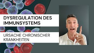 Dysregulation des Immunsystems  Ursache chronischer Krankheiten [upl. by Joell]