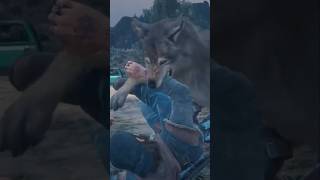 Surviving a Wolf Attack [upl. by Sharai]