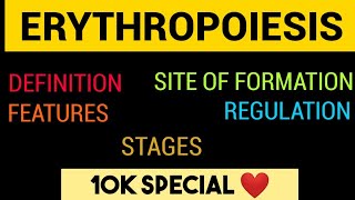 Erythropoiesis  Stages  Features amp Regulation  Entry No 1 [upl. by Murielle]