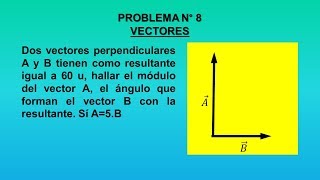 VECTORES Nº 8 [upl. by Saffren]