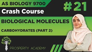 Carbohydrates Part 2  Biological Molecules  9700 AS Biology UrduHindi [upl. by Navarro847]