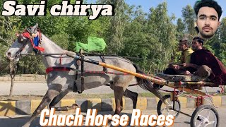 Masha Allah Savi chiryahorseracinghorse horseracing viralvideo [upl. by Douty]