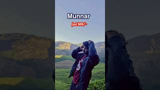 Reach munnar in just 800 trendingshorts munnartrip munnartouristplaces mrsanju7 [upl. by Lem423]