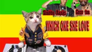 Shabba Ranks ft coco tea  which one she love [upl. by Doowyah]