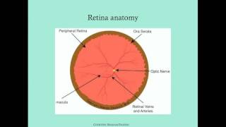 Retinopathy of Prematurity  CRASH Medical Review Series [upl. by Guntar]