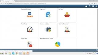 Peoplesoft Technical Training Demo [upl. by Eadrahs99]