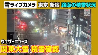 新宿ライブカメラ【東京23区積雪】東京 新宿5丁目・路面積雪状況202425月 [upl. by Jobi]