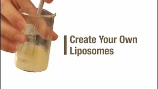 Create your own liposomes [upl. by Avilla]