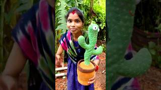 Wangdu a gift talking cactus🥰  shortsviral shortsvideo shorts [upl. by Danae]