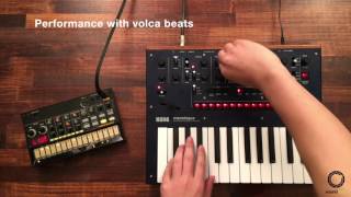 KORG monologue 4  Performance with volca beats [upl. by Hughmanick984]