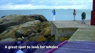 Campobello Island New Brunswick Bay of Fundy Travel Show Episode 13 [upl. by Enelad727]