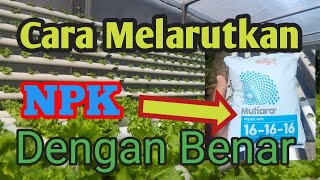 Cara Melarutkan NPK Dengan Benar untuk pengganti AB Mix [upl. by Murdocca33]