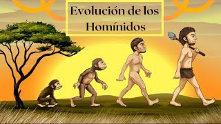 Evolución de los homínidos Un recorrido por el tiempo [upl. by Schilt]