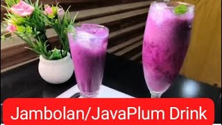 Jambolan Drink  Java Plum Drink  Jamun ka Sharbat  10MinuteRecipeschannel [upl. by Ytsirhc110]