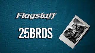 2020 Flagstaff Micro Lite 25BRDS Walk Through [upl. by Annayhs791]