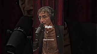 Gabor Mate on ADHD 🤔 alphamale automobile mentalhealthcare funny [upl. by Ydal229]