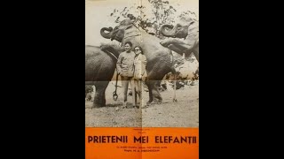 Prietenii mei elefanții 1971 [upl. by Ole]