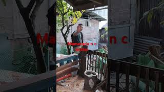 Tricycle driver shortvideo [upl. by Morry]