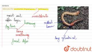 Discuss the economic importance of earthworm  11  STRUCTURAL ORGANIZATION IN ANIMALS  BIOLOG [upl. by Englebert]