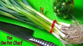 Quick Tips Saving Leftover Spring Onions  One Pot Chef [upl. by Patty]