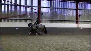 Millie AM Dressage suppleness amp balance 13 2 15 [upl. by Aida]