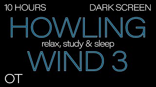 HOWLING WIND Sounds for Sleeping 3  Relax Study  BLACK SCREEN Real Storm Sounds SLEEP SOUNDS [upl. by Ashatan]