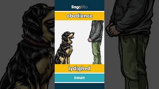 🇬🇧🇩🇰 obedience  lydighed  vocabulary builder  learn English  Lad os lære engelsk [upl. by Bensky]