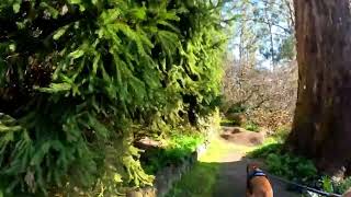 Walking George Tindale Memorial Gardens Sherbrooke Victoria Australia [upl. by Calore]