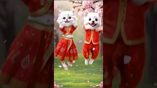 🐱🐰Cat video Funny Dance 😂comedy funny cute cat dance trending [upl. by Pettiford602]