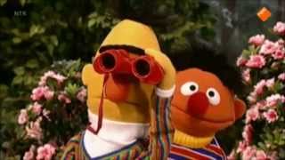 Bert en Ernie duiven spotten [upl. by Starobin954]