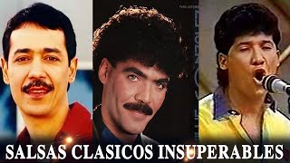 SALSAS CLASICAS INSUPERABLES  WILLIE GONZALEZ EDDIE SANTIAGO HILDEMARO  LO MEJOR SALSA ROMANTICA [upl. by Edme]