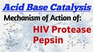 Acid Base Catalysis Mechanism of Action of HIV Protease Action of Aspartic protease family enzymes [upl. by Ahsuoj]