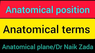 anatomical positionanatomical position and directional terms anatomical position and terms in urdu [upl. by Xilef]