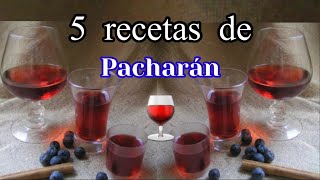 5 RECETAS DE PACHARAN CASERO 🍷Como hacer Pacharan caseroLicor de pacharan [upl. by Ojok408]