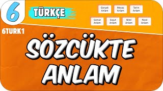 Sözcükte Anlam 📙 6TURK1 2025 [upl. by Areehs]