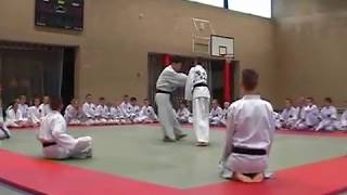 Chongmukwan 2002 Master Ko Baekyong [upl. by Silsbye]