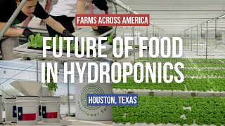 Hydroponic Farming to Feed America  Farms Across America [upl. by Rutherford]