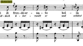 Benchè di senso Lesson 82 Nicola Vaccai score animation SopranoTenor Karaoke [upl. by Nidroj51]