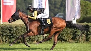 BerlinHoppegarten Hoppegartener Sommerpreis Listenrennen  Sieger Wildpark [upl. by Kean]