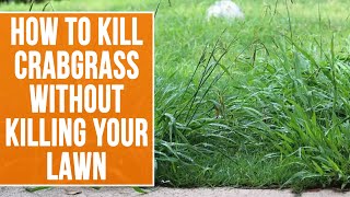 How To Kill Crabgrass Without Killing Your Lawn [upl. by Adnwahsal]