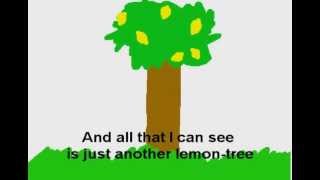 LEMON TREE  Fools Garden with LYRICS [upl. by Geer]