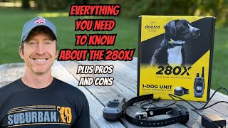 Dogtra 280x Review Pros and Cons [upl. by Korff]