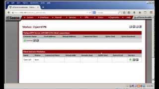 Connecting To pfSensebased OpenVPN Server From a Windows Client [upl. by Constant]