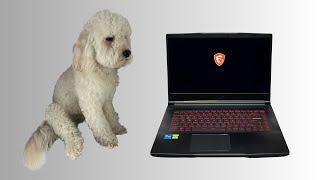 Laptop MSI GF63 konserwacja układu chłodzenia wymiana pasty czyszczenie wentylatorów Serwis Wrocław [upl. by Issak2]