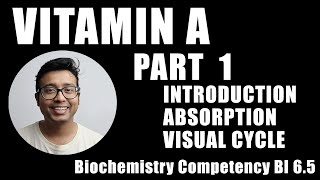 Vitamin A  Part 1  Introduction Absorption Metabolism Walds Visual Cycle Competency BI 65 [upl. by Xonk]