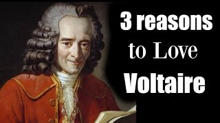 3 Reasons to Love Voltaire [upl. by Yajnas]